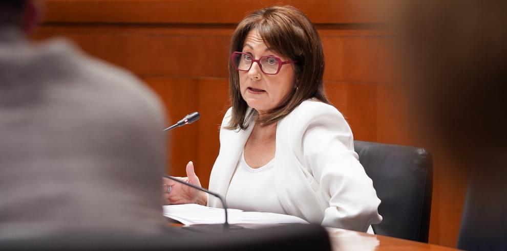 La directora gerente del Banco de Sangre y Tejidos, Rosa Plantagenet-White durante su intervención en la Comisión de Sanidad