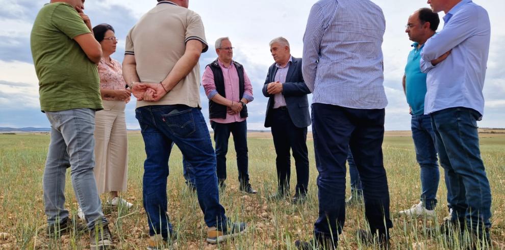 1.150 agricultores aragoneses beneficiados por las ayudas directas a la sequía del Gobierno de Aragón