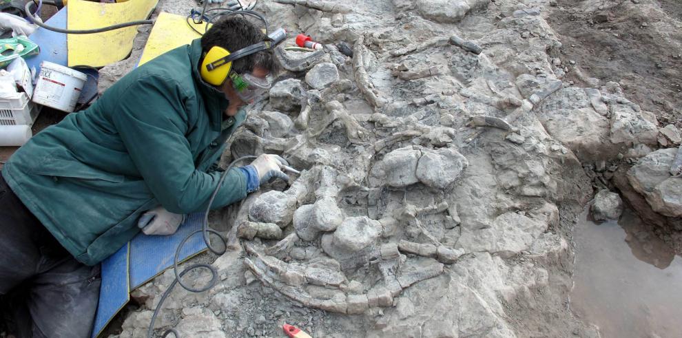 Paleontólogos de la Fundación Dinópolis durante las labores de excavación e investigación de los fósiles de Dacentrurus armatus (El Castellar, Teruel).