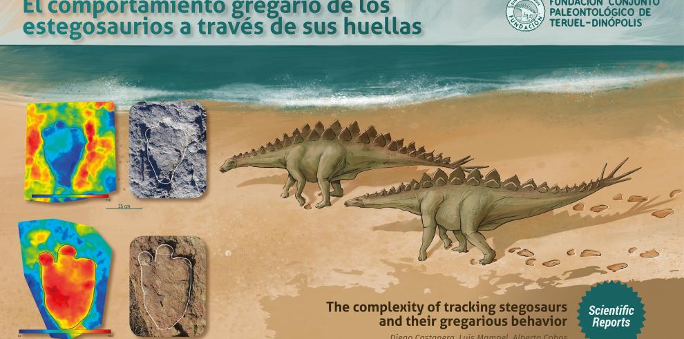 El comportamiento gregario de estos herbívoros ha sido publicado por la revista Scientific Reports, tras estudiarlo en el yacimiento turolense de 'El Castellar'