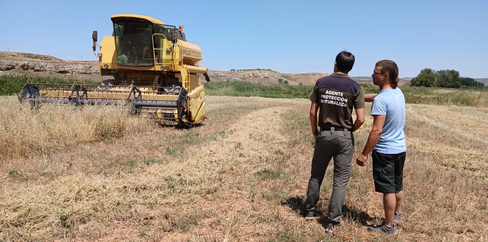 Antes de iniciar la cosecha se recomienda consultar el Nivel de Alerta de Peligro de Incendios Forestales (NAPIF)