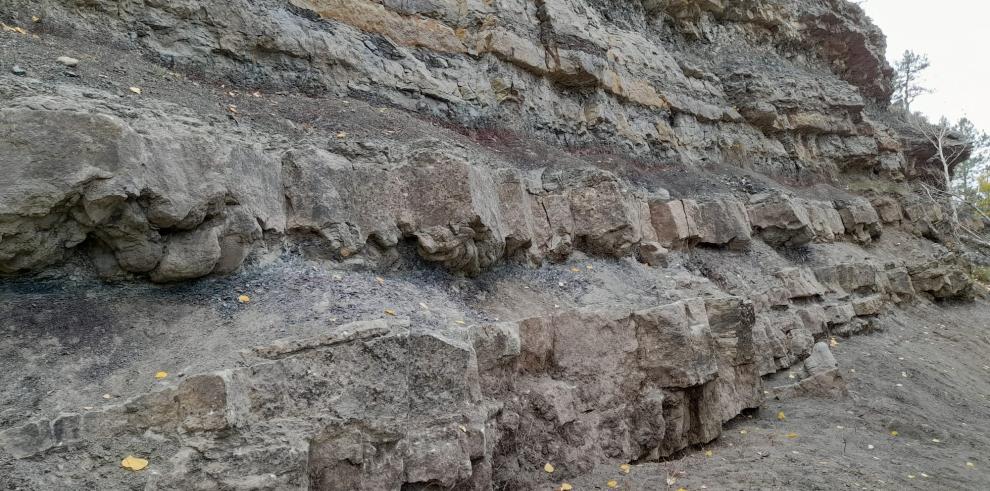 Yacimiento de huellas de dinosaurios “Río Alcalá” de Alcalá de la Selva (Teruel) antes de su habilitación museográfica.