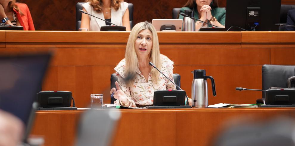 La vicepresidenta, Mar Vaquero, ha comparecido en la Comisión Institucional y de Derecho Estatutario de las Cortes de Aragón