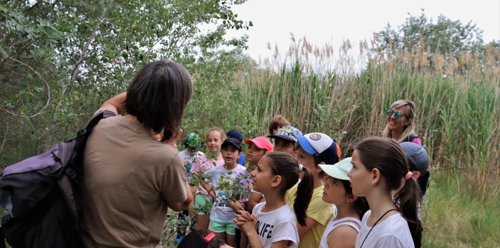 Una de las actividades realizadas en el marco del programa formativo de la Dirección General de Educación Ambiental.