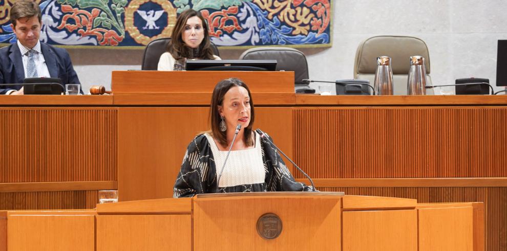 La consejera Susín ha comparecido este jueves en la sesión plenaria