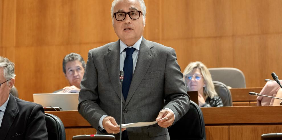 El consejero de Agricultura, Ganadería y Alimentación Javier Rincón, durante su intervención en el pleno