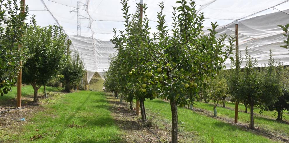 El CITA participa en el evento nacional de Agroalnext