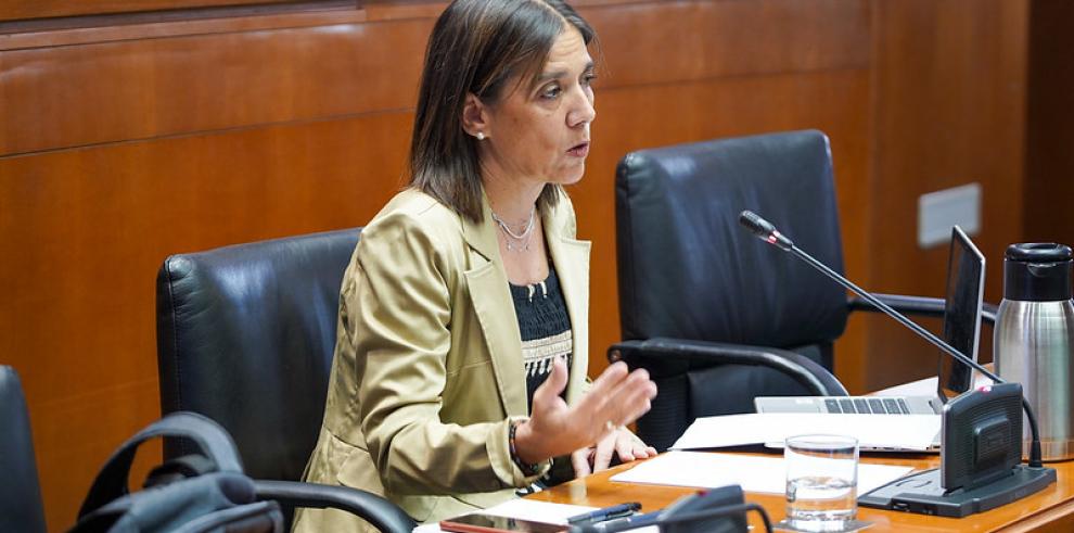 Ana Gómez, Interventora General, durante su comparecencia en la Comisión de Hacienda, Interior y Presupuestos del Gobierno de Aragón