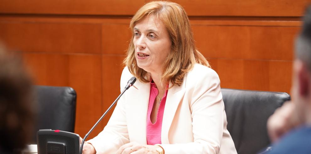 La directora general de Salud Pública, Nuria Gayán, en su comparecencia hoy en las Cortes de Aragón