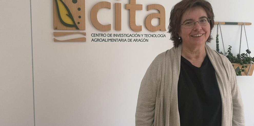 Pilar Errea, nueva directora gerente del CITA