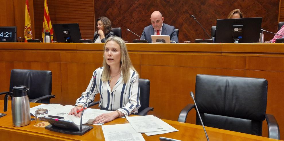 La gerente de Atención Primaria del Servicio Aragonés de Salud, Pilar Borraz, comparece en las Cortes de Aragón
