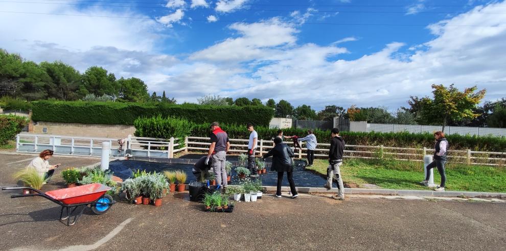 El CDAN presenta este lunes su nuevo jardín seco.