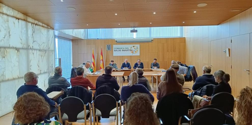 La reunión se ha celebrado en la sede de la comarca del Bajo Martín.