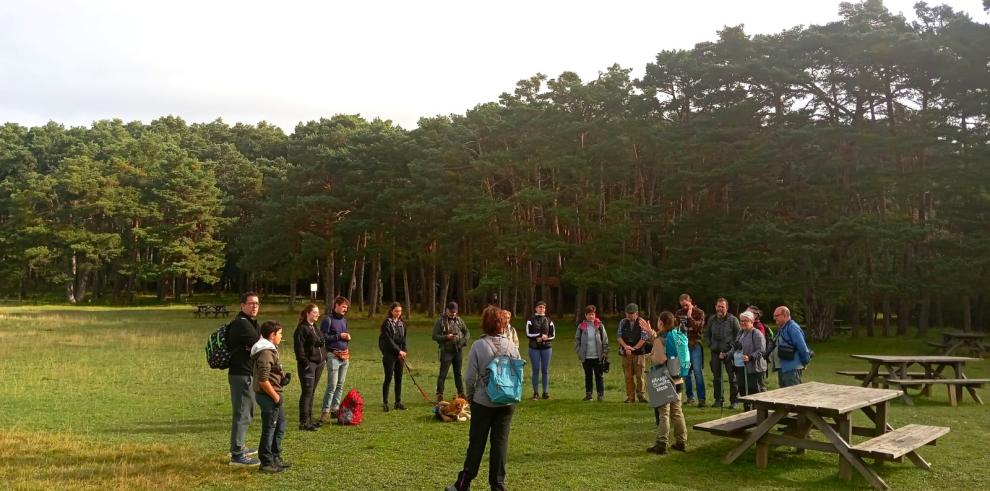 Una de las actividades llevadas a cabo en el marco de los programas de educación ambiental.