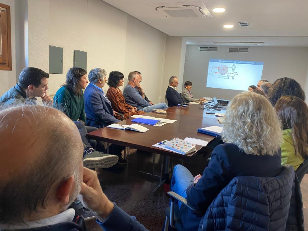 Presentación en Alcañiz de los resultados de la investigación del Plan de Prevención, Vigilancia y Control de las enfermedades transmitidas por vectores en Aragón.