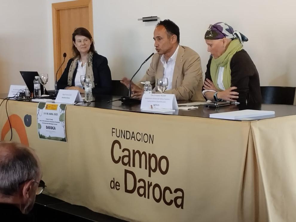 La directora general de Gestión Forestal, Ana Oliván, ha inaugurado las jornadas.