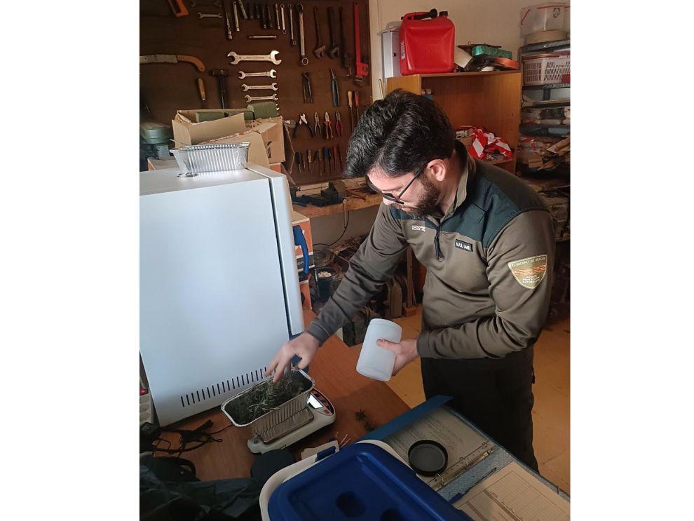 El secado de muestras en estas instalaciones permite la medición del contenido de humedad de la vegetación (combustible forestal vivo).