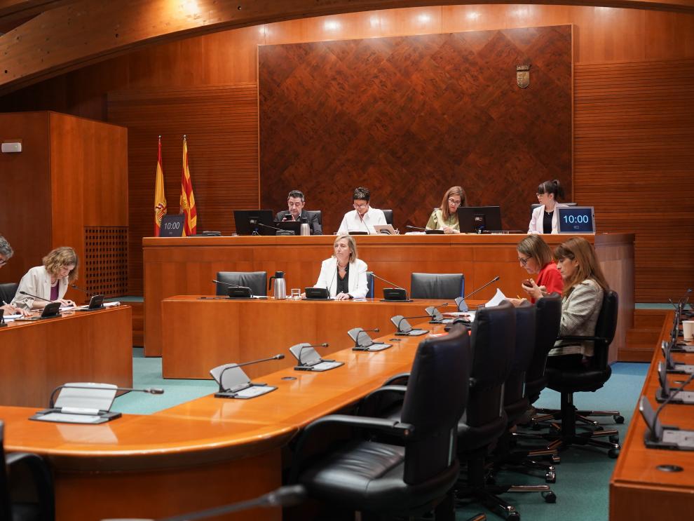 La DG de Familia, Infancia y Natalidad ha comparecido este martes en la comisión de las Cortes