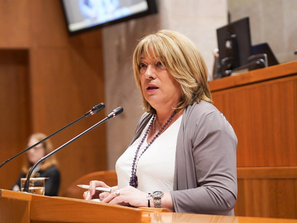La consejera ha comparecido hoy en las Cortes para explicar el proceso de escolarización.