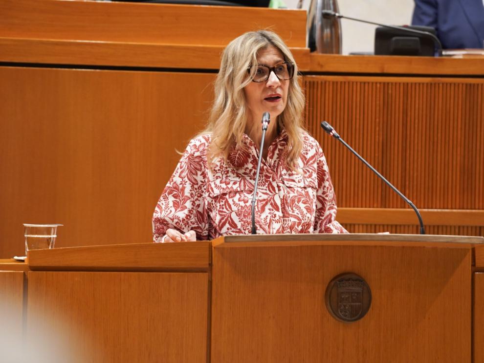 La vicepresidenta ha comparecido en el Pleno de las Cortes de Aragón