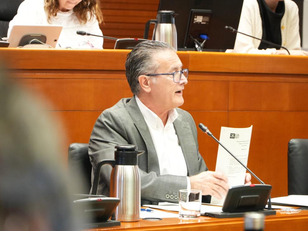 El DG de Mayores ha comparecido este martes en la comisión de Bienestar Social y Familia de las Cortes