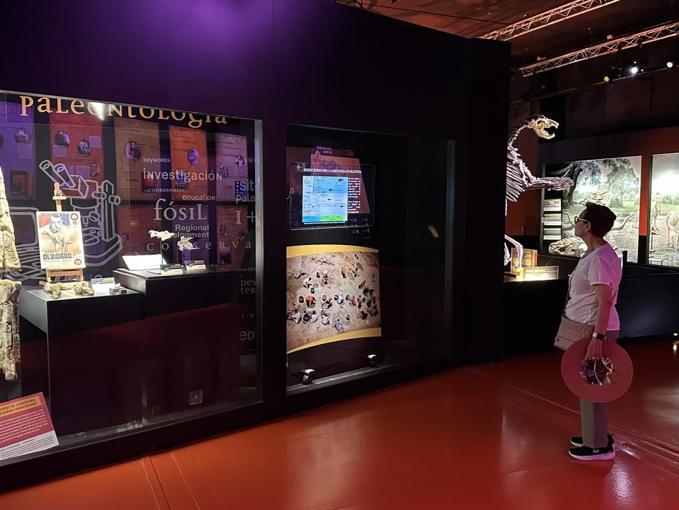 La exposición en la que se incluye el cráneo del estegosaurio.