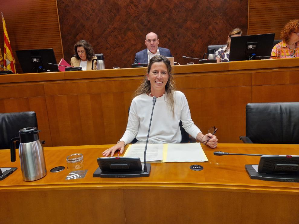 La directora gerente del Instituto Aragonés de Ciencias de la Salud, Elena Gonzalvo, durante su comparecencia en las Cortes de Aragón.