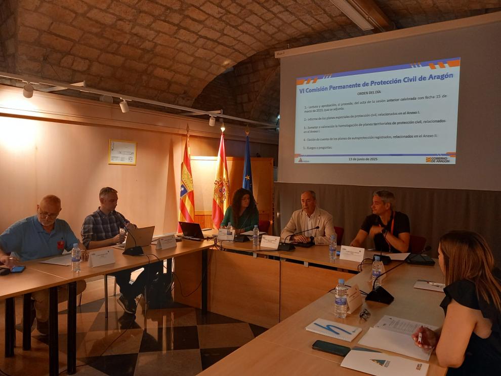 Imagen del artículo El Gobierno de Aragón informa a las comarcas y los ayuntamientos de la necesidad de hacer más operativos sus planes territoriales