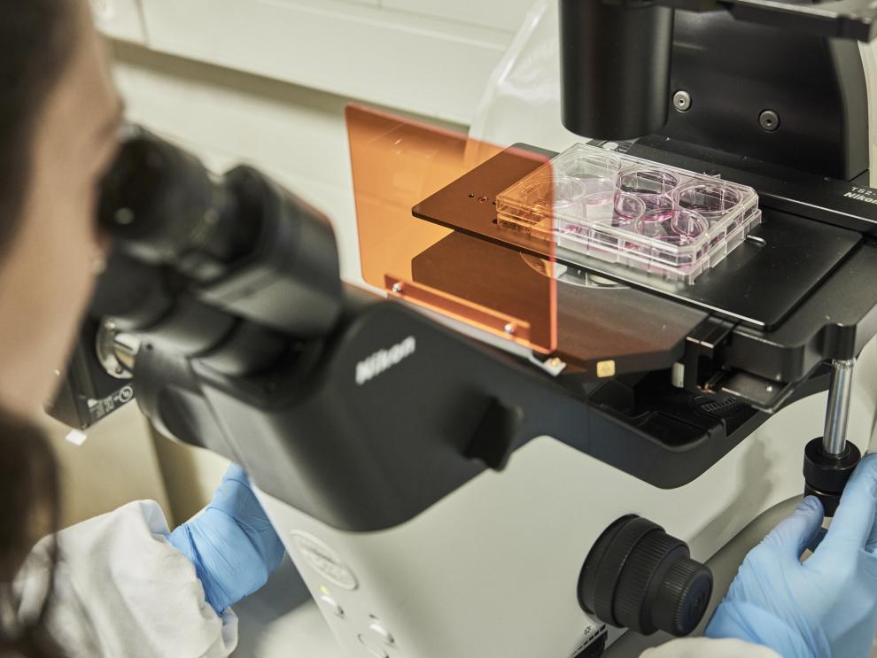 Imagen del artículo 159.000 euros en ayudas a la movilidad de investigadores predoctorales en formación