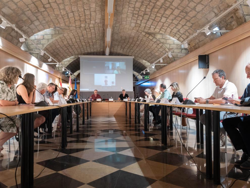 Reunión del Observatorio de la Montaña de Aragón celebrada en Zaragoza.