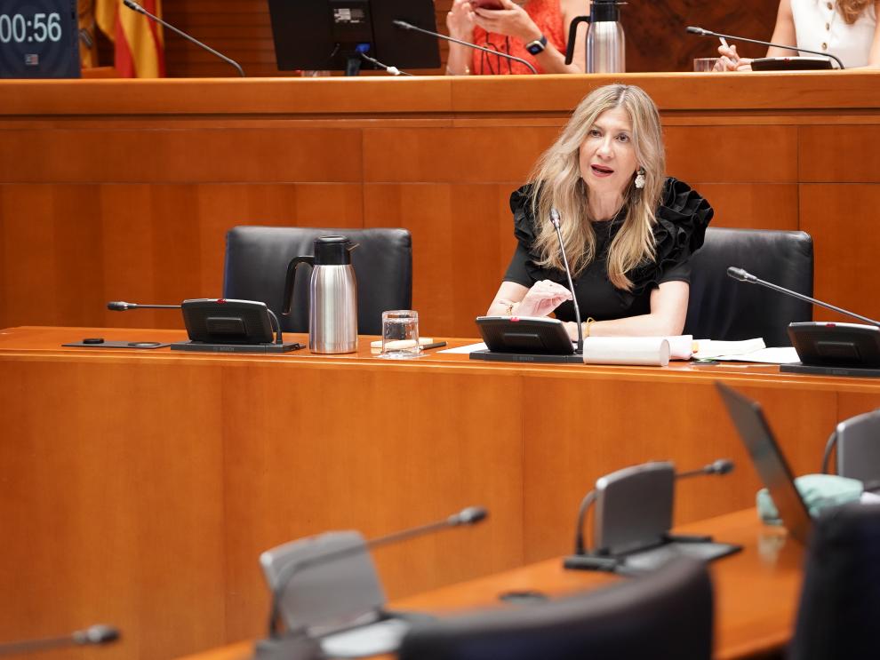 Imagen del artículo Mar Vaquero anuncia la convocatoria de ayudas para la captación y ampliación de empresas en la provincia de Teruel por un importe de 6,47 millones de euros