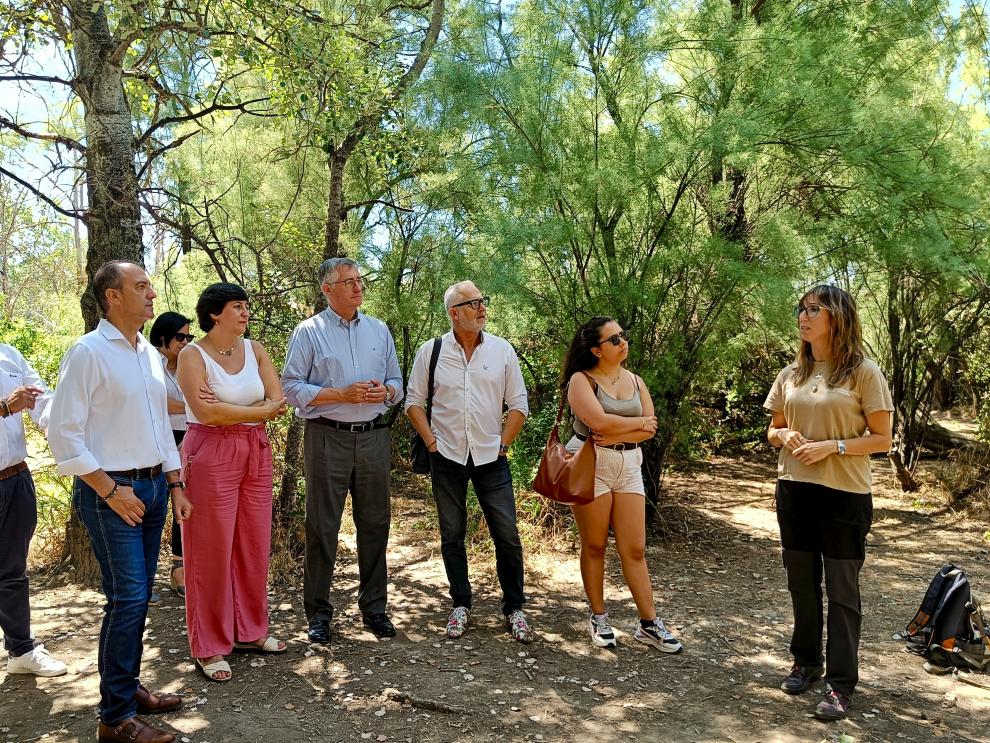 Los consejeros han participado en un baño de bosque dirigido por la técnica de SARGA Yasmina Gericó.