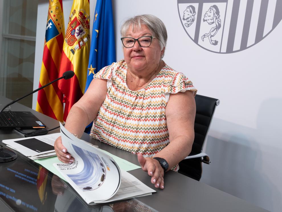Imagen del artículo El 89% de la energía generada en Aragón en 2024 fue de origen renovable