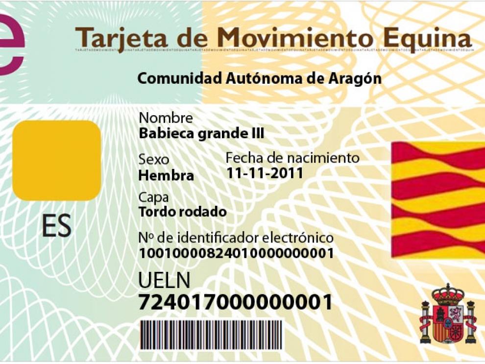 Imagen del artículo El Gobierno de Aragón facilita la emisión de tarjetas para el traslado de equinos