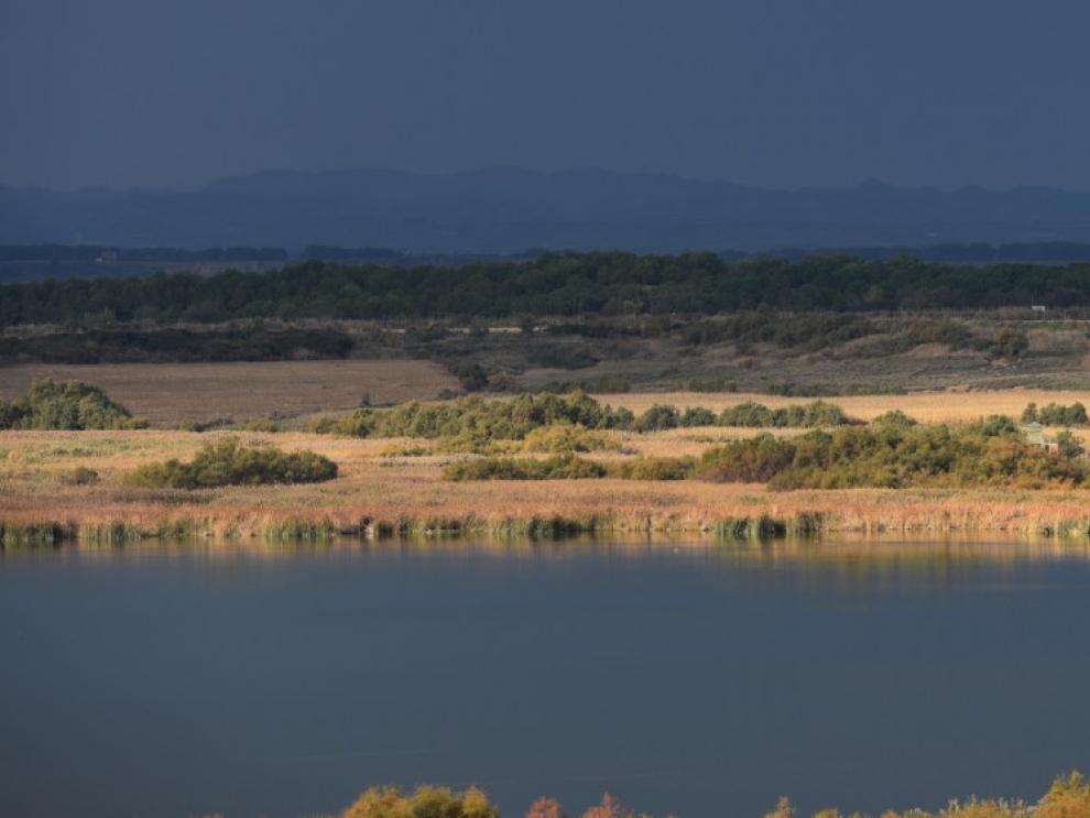 Humedal Singular de la Laguna de Sariñena