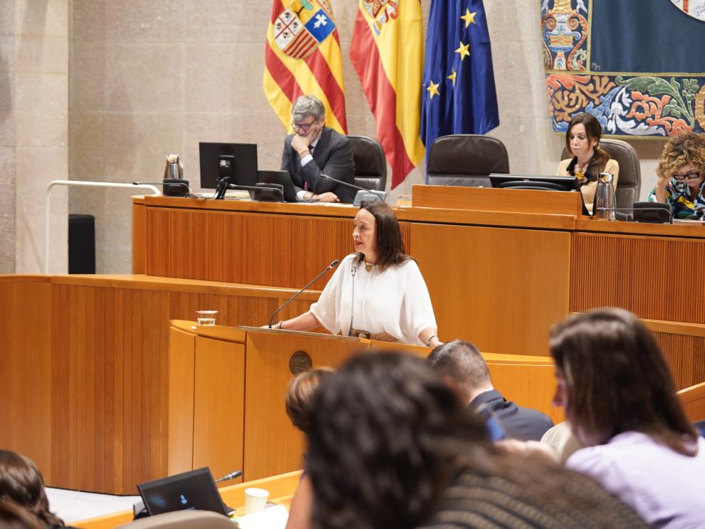 La consejera de Bienestar Social y Familia ha comparecido este jueves en las Cortes