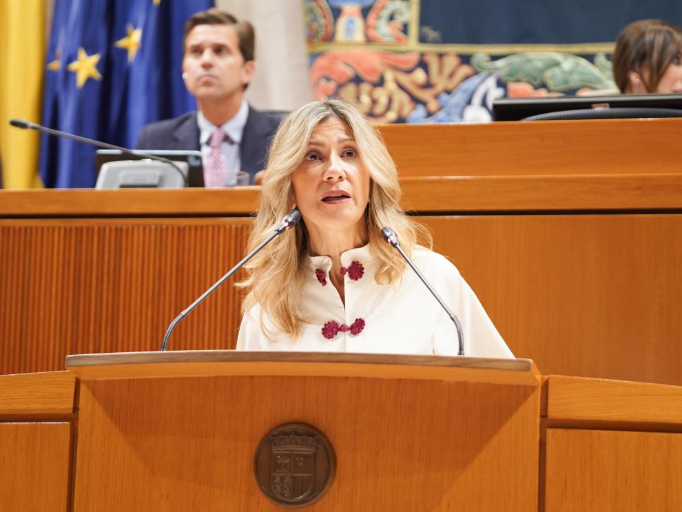La vicepresidenta del Gobierno, Mar Vaquero, ha comparecido ante el pleno de las Cortes de Aragón