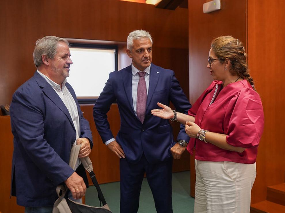 El director general de Salud Digital, Joaquín Velilla, flanqueado por los diputados Jesús Fuertes y Susana Gaspar. momentos antes de su comparecencia hoy en las Cortes