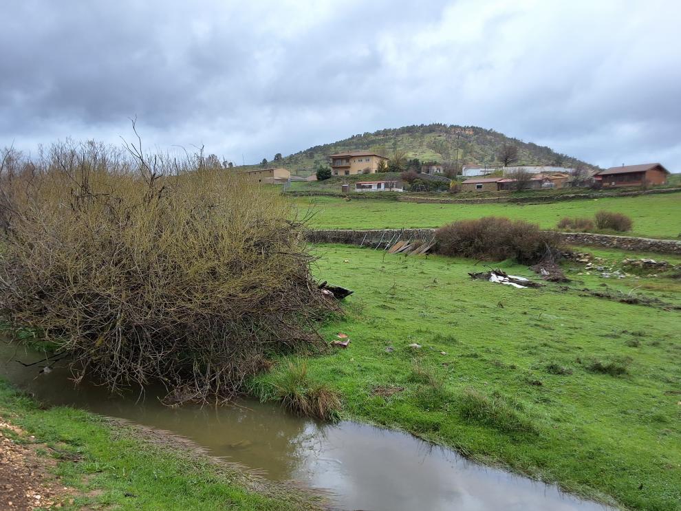 Terrenos en los que se ubicará la depuradora de Royuela.