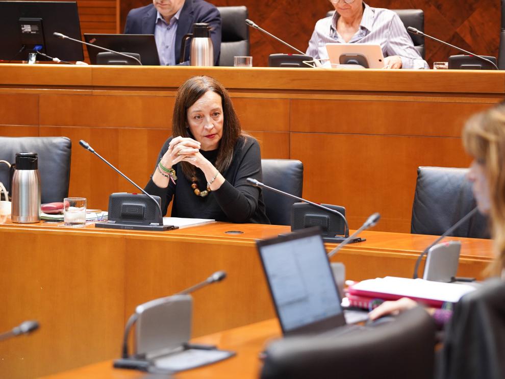 Este martes la Consejera ha comparecido en la comisión de Bienestar Social y Familia en las Cortes