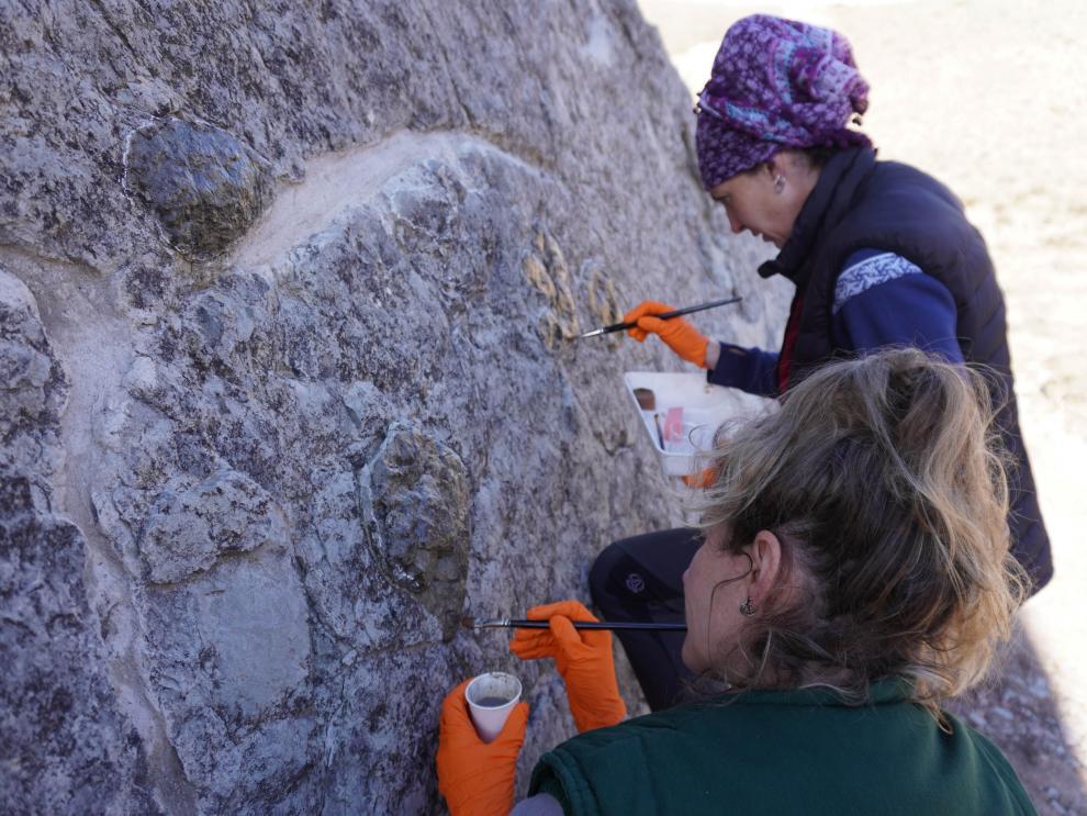Aplicación llevada a cabo para el resalte de las icnitas en el yacimiento Aguilar 3 en Aguilar del Alfambra (Teruel).