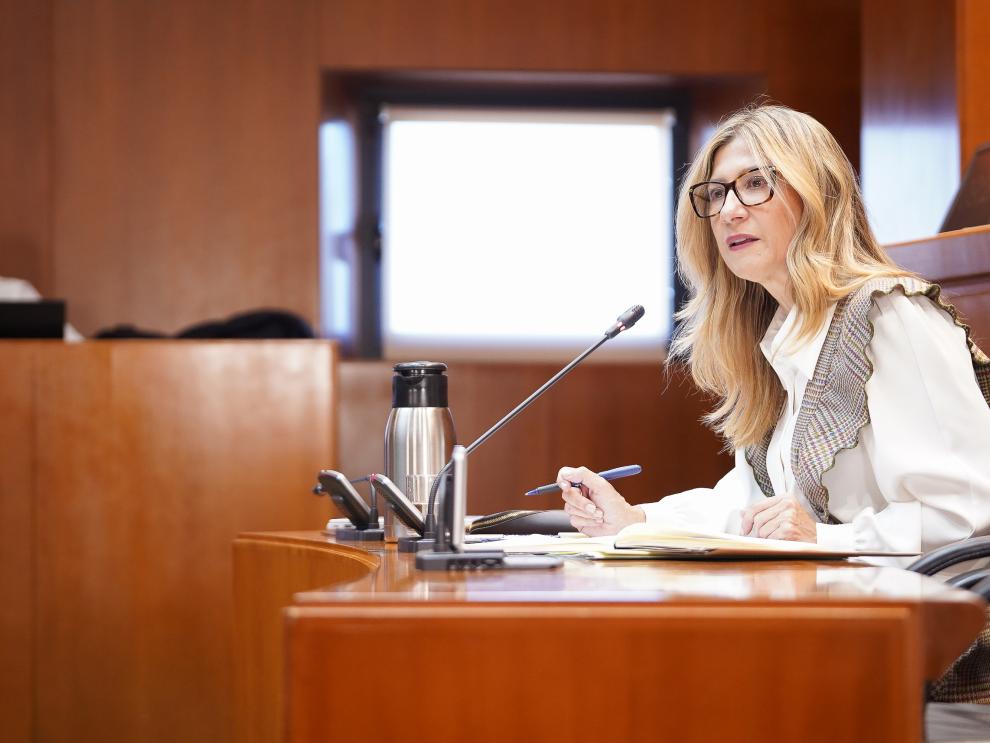 La vicepresidenta, Mar Vaquero, ha comparecido en las Cortes de Aragón