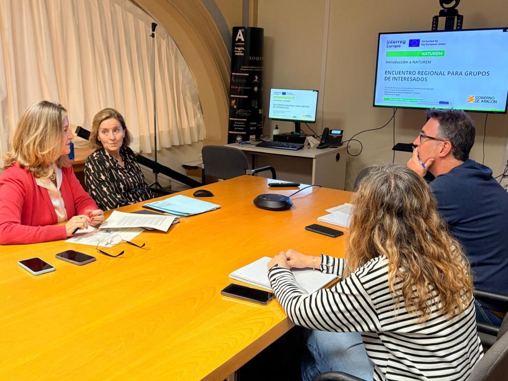 El encuentro, que se ha celebrado por videoconferencia, ha sido liderado por la directora general de Calidad Ambiental, María Martínez.