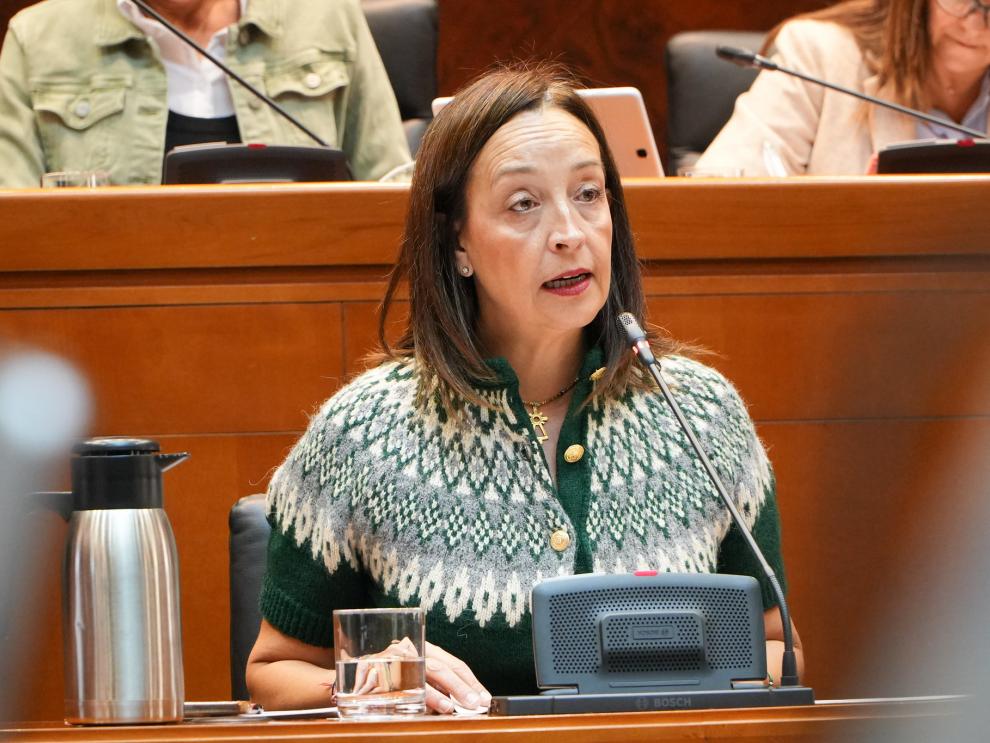 Este martes la Consejera ha comparecido en la comisión de Bienestar Social y Familia de las Cortes de Aragón