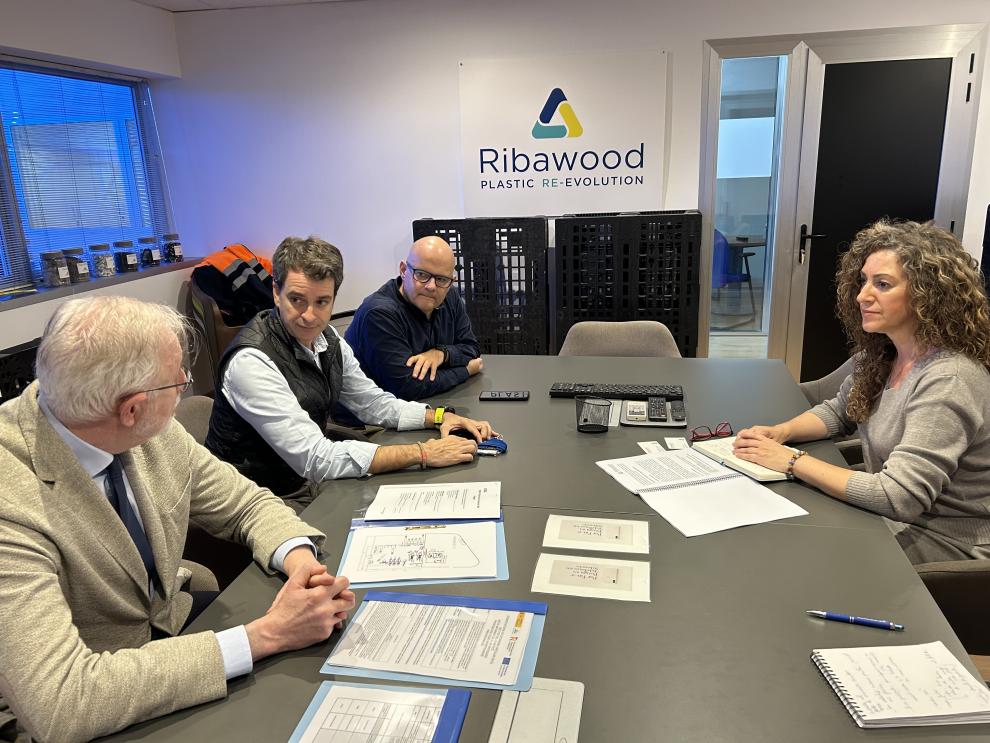 Reunión de trabajo en Ribawood