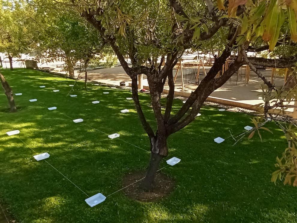 Imagen de evaluación de riego