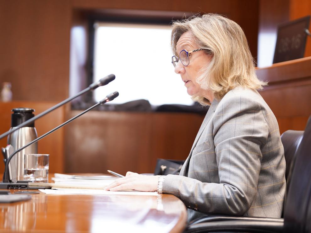 La gerente del SALUS, Ana Castillo Forniés, ha comparecido esta tarde en la Comisión de Sanidad de la Cortes de Aragón