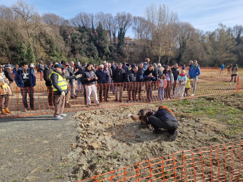 El departamento de Agricultura, Ganadería y Alimentación del Gobierno de Aragón respalda al sector trufero en la Feria de la Trufa Negra de Graus.