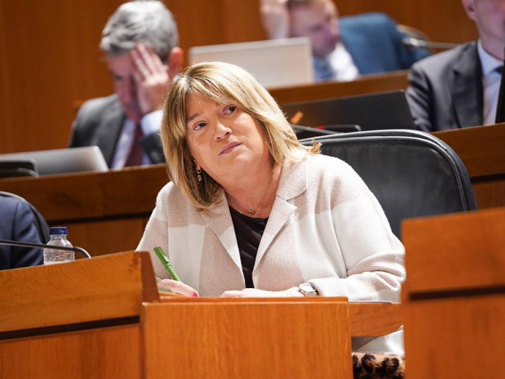 La consejera de Educación ha dado cuenta hoy de la situación de la escuela pública en las Cortes de Aragón.