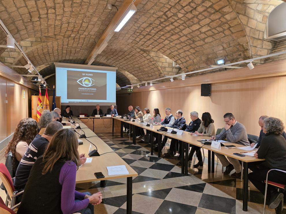 El Observatorio de la Montaña de Aragón ha celebrado hoy su 10º Pleno, presidido por el director general de Interior y Emergencias, Miguel Ángel Clavero